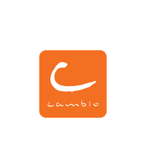CAMBIO